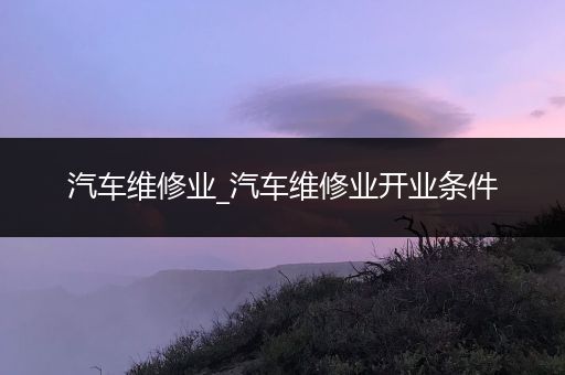 汽车维修业_汽车维修业开业条件