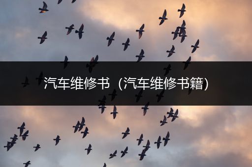 汽车维修书（汽车维修书籍）