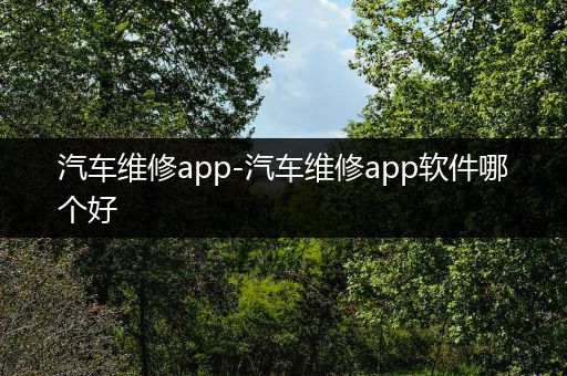 汽车维修app-汽车维修app软件哪个好