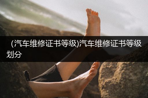 （汽车维修证书等级)汽车维修证书等级划分