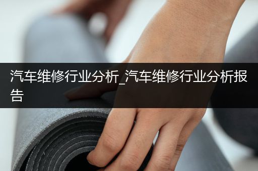 汽车维修行业分析_汽车维修行业分析报告