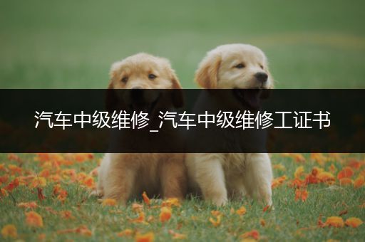 汽车中级维修_汽车中级维修工证书