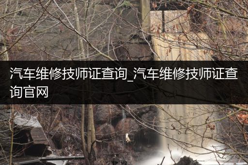 汽车维修技师证查询_汽车维修技师证查询官网