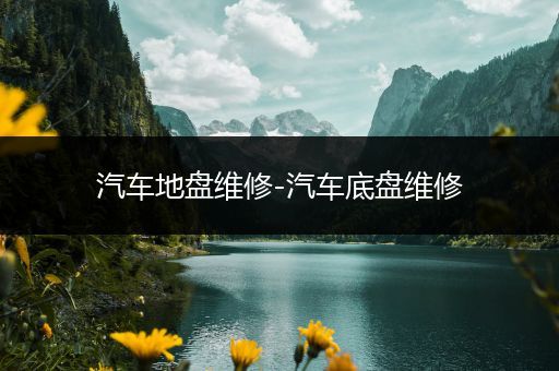 汽车地盘维修-汽车底盘维修