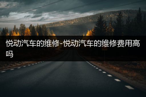 悦动汽车的维修-悦动汽车的维修费用高吗