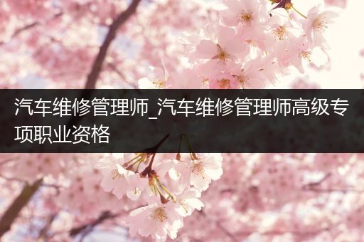 汽车维修管理师_汽车维修管理师高级专项职业资格