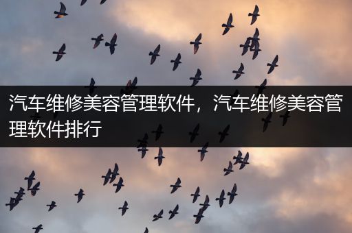 汽车维修美容管理软件，汽车维修美容管理软件排行