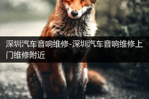 深圳汽车音响维修-深圳汽车音响维修上门维修附近