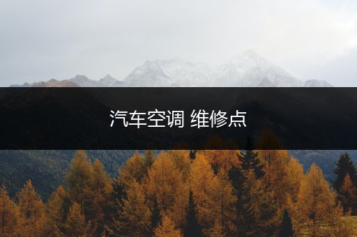 汽车空调 维修点