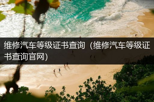 维修汽车等级证书查询（维修汽车等级证书查询官网）