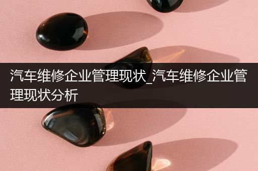 汽车维修企业管理现状_汽车维修企业管理现状分析