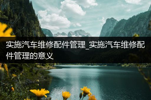 实施汽车维修配件管理_实施汽车维修配件管理的意义