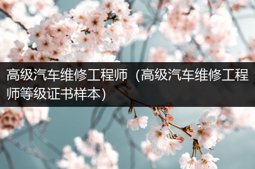 高级汽车维修工程师（高级汽车维修工程师等级证书样本）