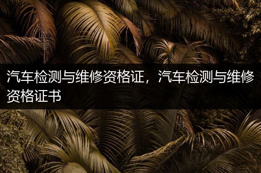 汽车检测与维修资格证，汽车检测与维修资格证书