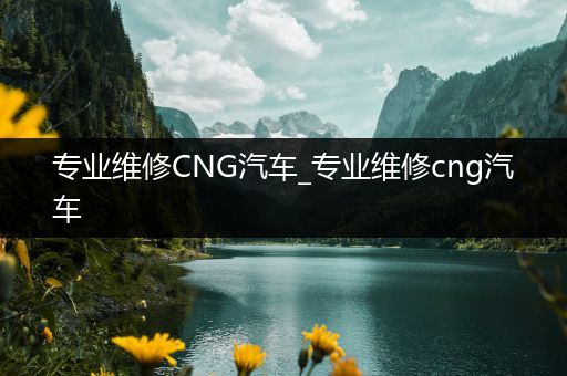 专业维修CNG汽车_专业维修cng汽车