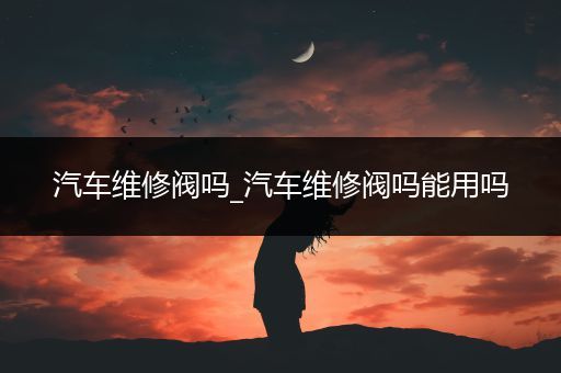 汽车维修阀吗_汽车维修阀吗能用吗