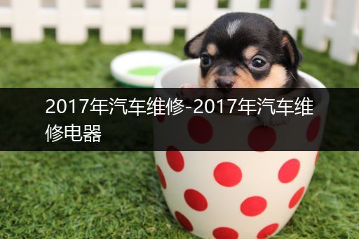 2017年汽车维修-2017年汽车维修电器