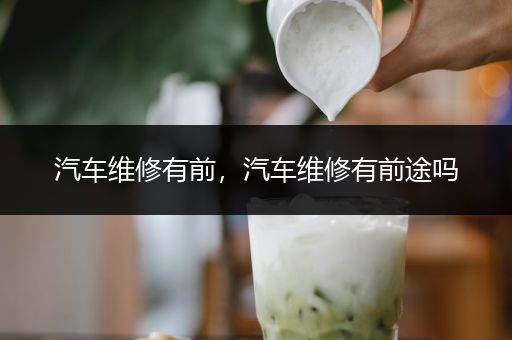 汽车维修有前，汽车维修有前途吗