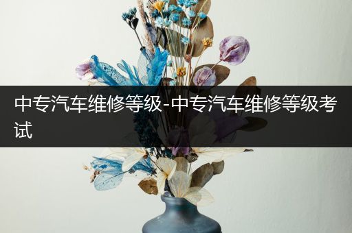 中专汽车维修等级-中专汽车维修等级考试