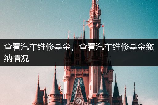 查看汽车维修基金，查看汽车维修基金缴纳情况