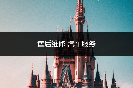 售后维修 汽车服务