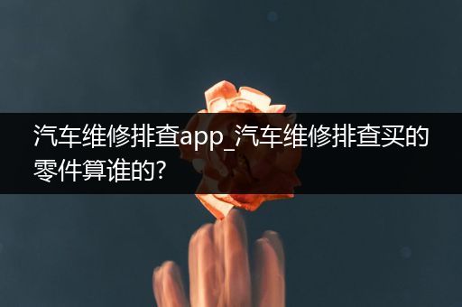 汽车维修排查app_汽车维修排查买的零件算谁的?