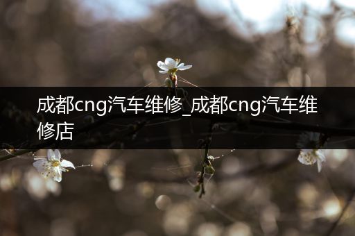 成都cng汽车维修_成都cng汽车维修店