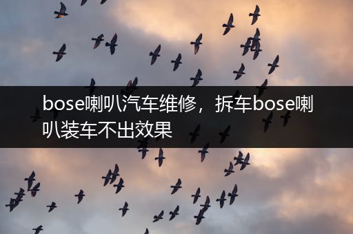 bose喇叭汽车维修，拆车bose喇叭装车不出效果