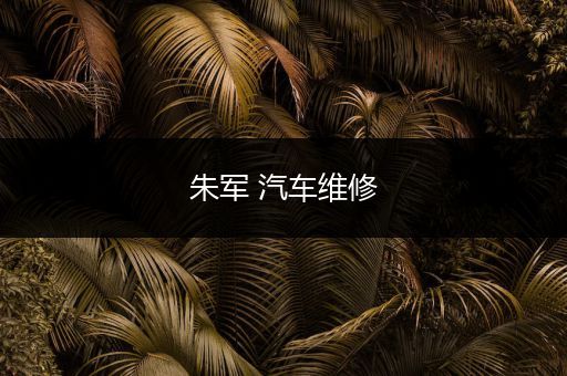 朱军 汽车维修