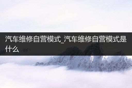 汽车维修自营模式_汽车维修自营模式是什么