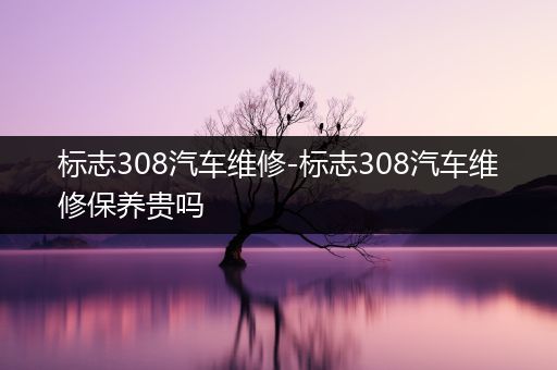 标志308汽车维修-标志308汽车维修保养贵吗