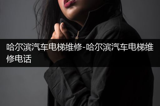 哈尔滨汽车电梯维修-哈尔滨汽车电梯维修电话