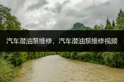 汽车潜油泵维修，汽车潜油泵维修视频