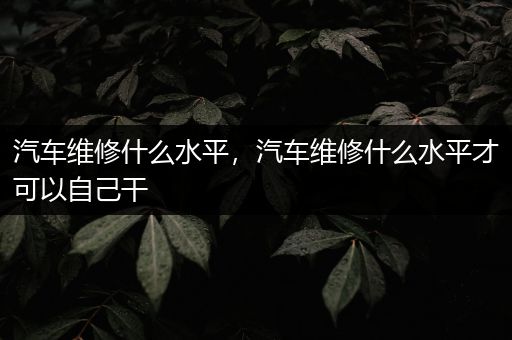 汽车维修什么水平，汽车维修什么水平才可以自己干