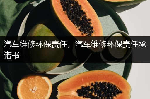 汽车维修环保责任，汽车维修环保责任承诺书