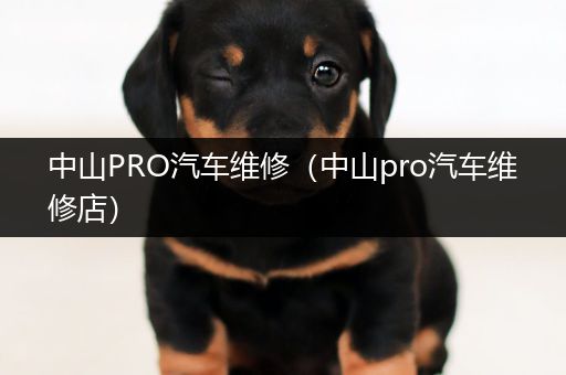 中山PRO汽车维修（中山pro汽车维修店）