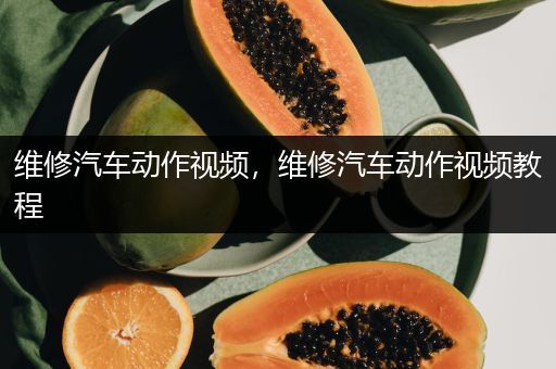 维修汽车动作视频，维修汽车动作视频教程