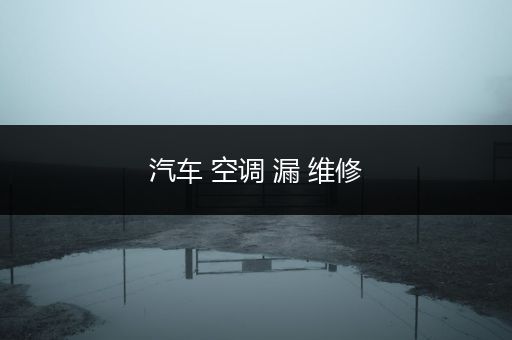 汽车 空调 漏 维修