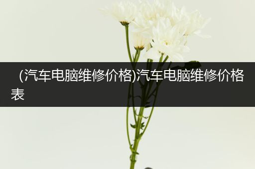 （汽车电脑维修价格)汽车电脑维修价格表