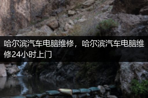 哈尔滨汽车电脑维修，哈尔滨汽车电脑维修24小时上门