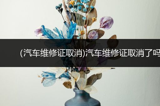 （汽车维修证取消)汽车维修证取消了吗